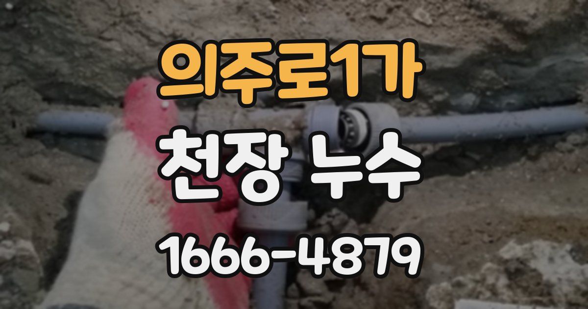 의주로1가 천장 누수