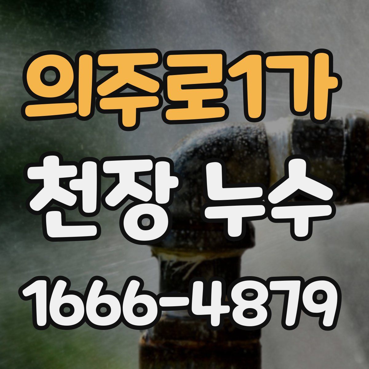 의주로1가 천장 누수