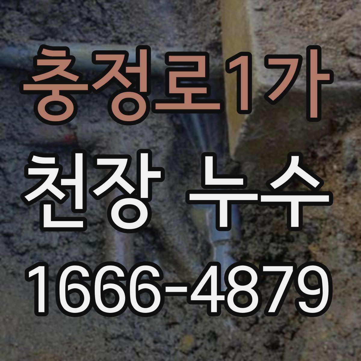충정로1가 천장 누수 얼룩이 커지기 전에 해결