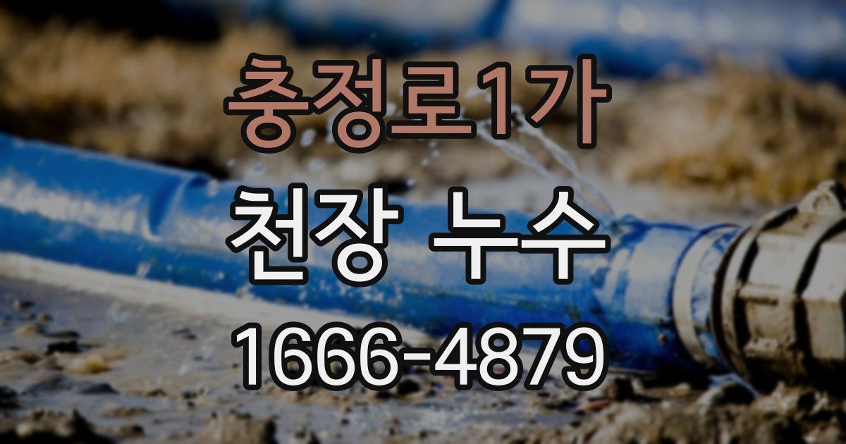 충정로1가 천장 누수