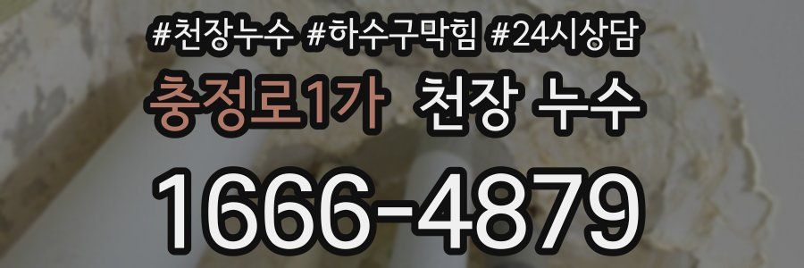 충정로1가 천장 누수