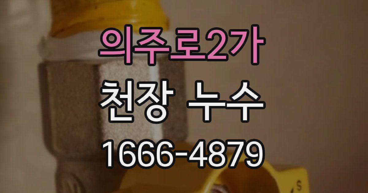 의주로2가 천장 누수