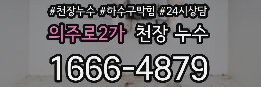 의주로2가 천장 누수