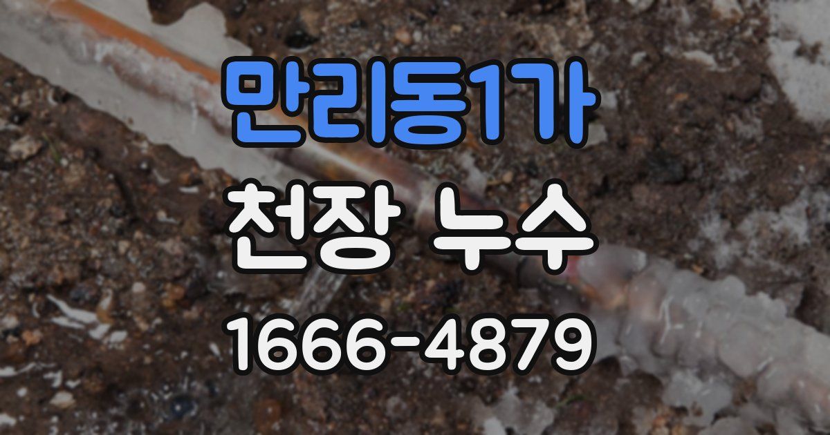 만리동1가 천장 누수