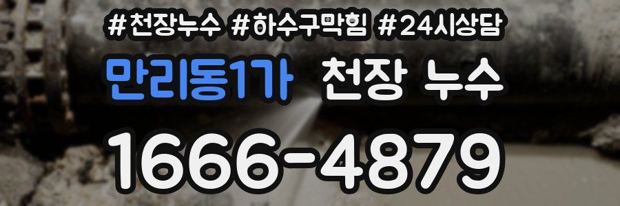 만리동1가 천장 누수