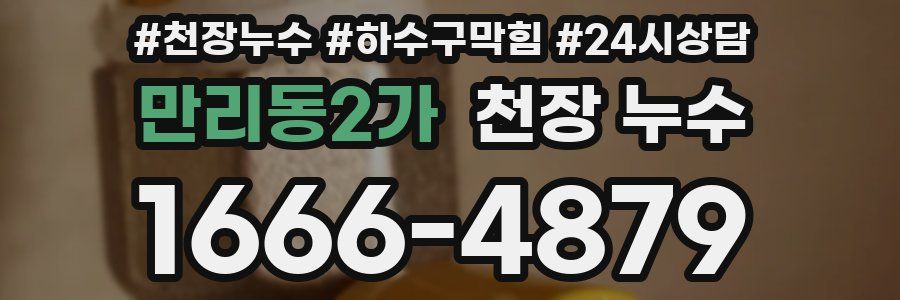 만리동2가 천장 누수