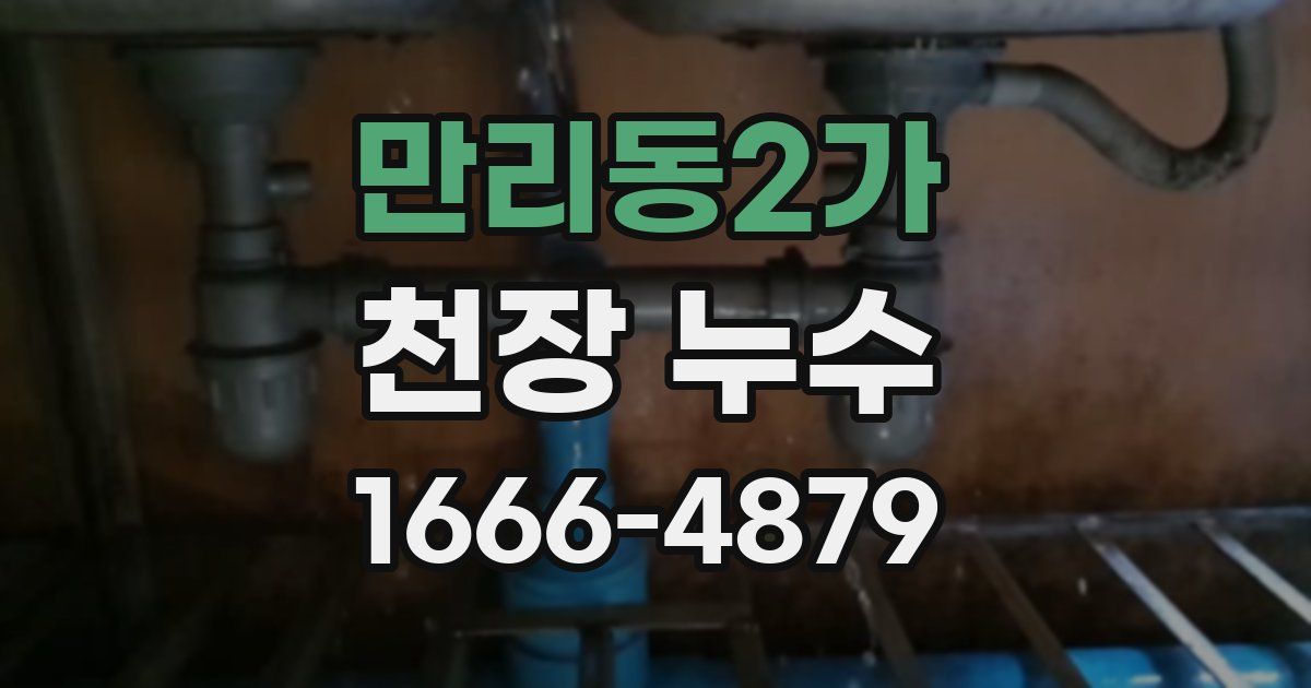 만리동2가 천장 누수