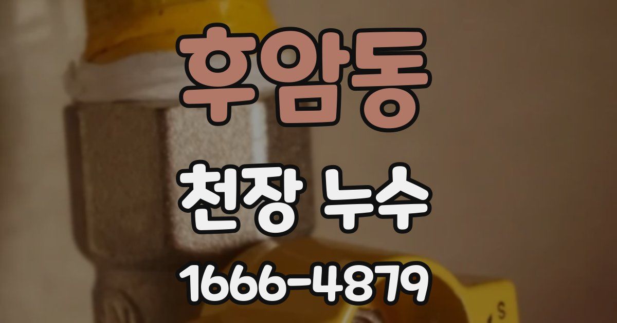 후암동 천장 누수