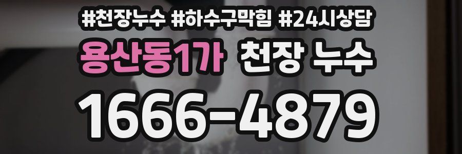 용산동1가 천장 누수