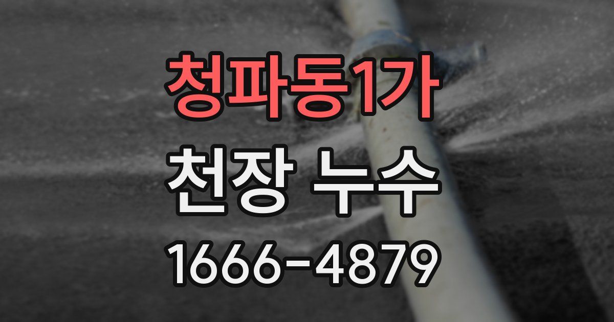 청파동1가 천장 누수