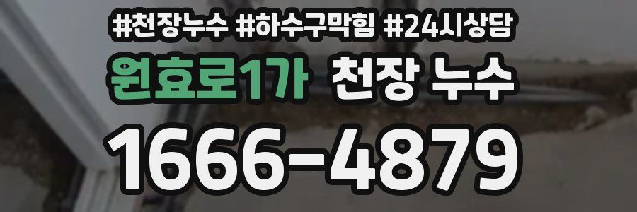 원효로1가 천장 누수