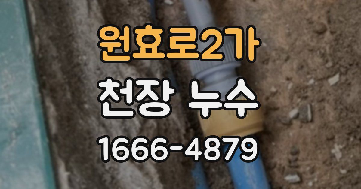 원효로2가 천장 누수