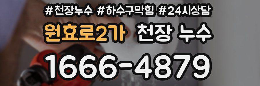 원효로2가 천장 누수