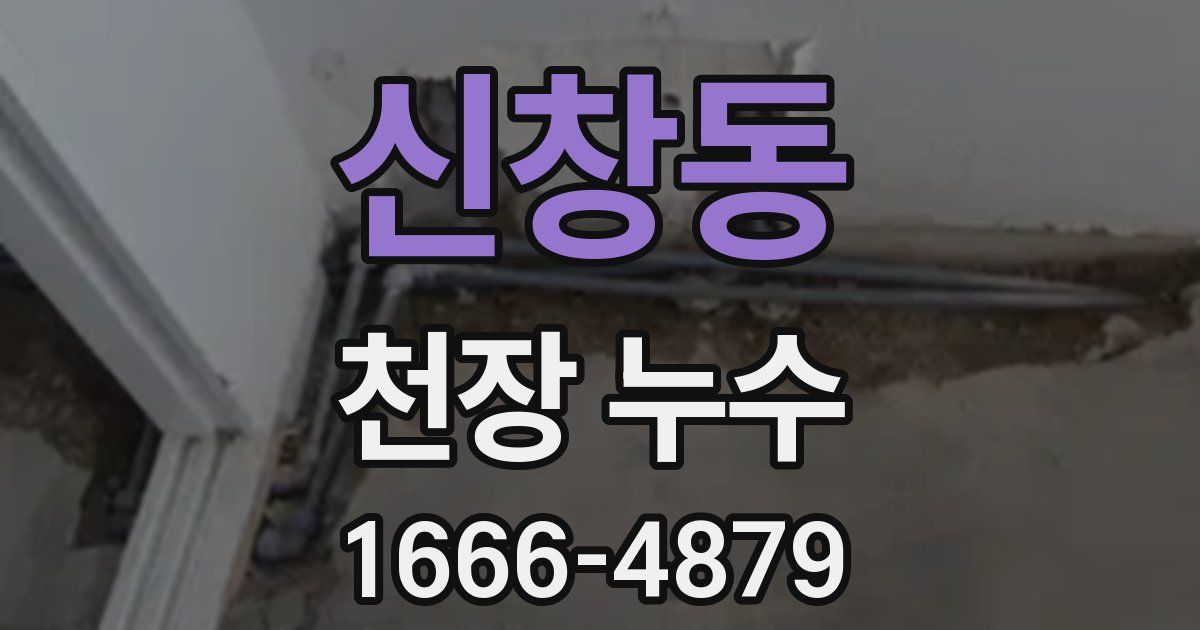 신창동 천장 누수