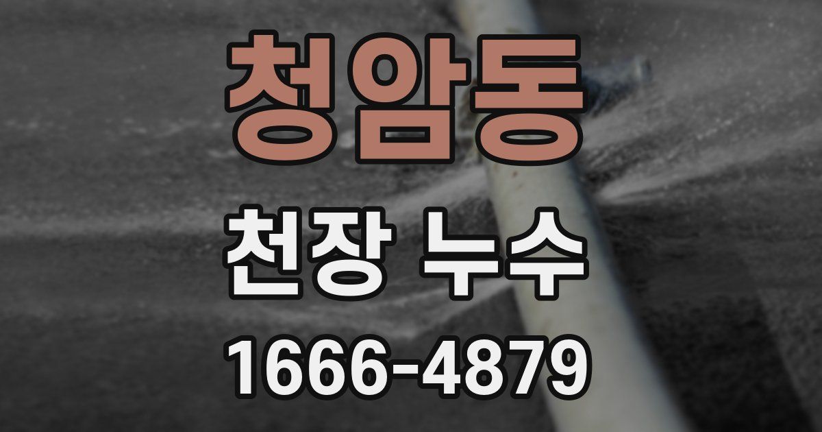 청암동 천장 누수