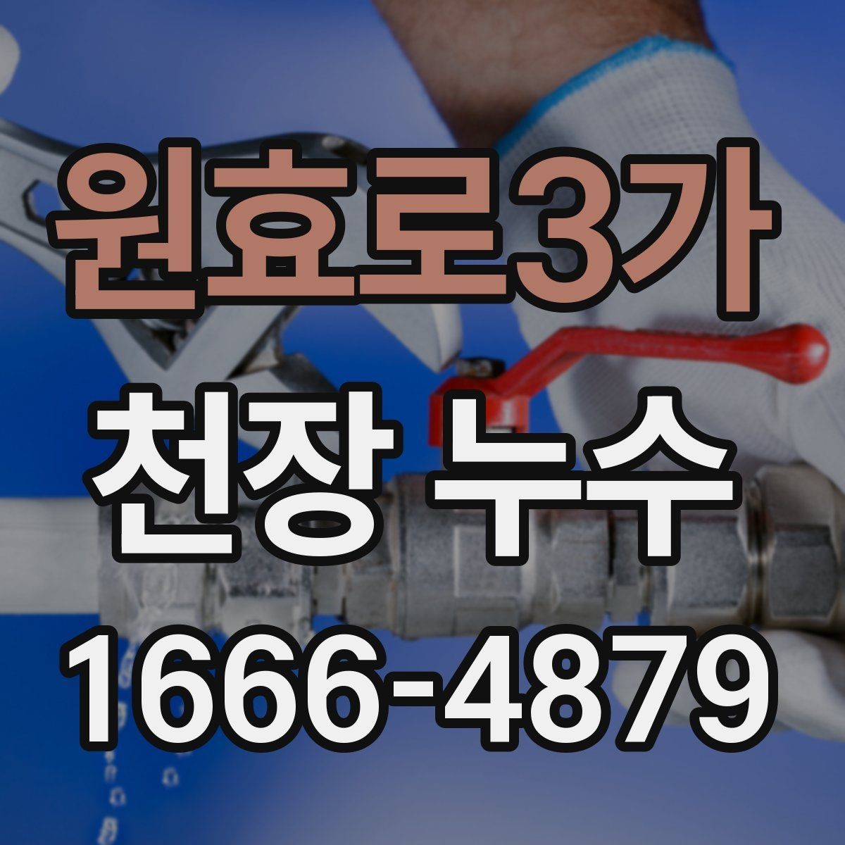 원효로3가 천장 누수 천장 가까이에서 퀴퀴한 냄새가 올라올 때