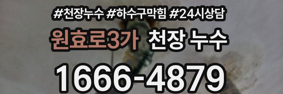 원효로3가 천장 누수
