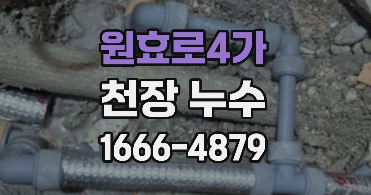 원효로4가 천장 누수