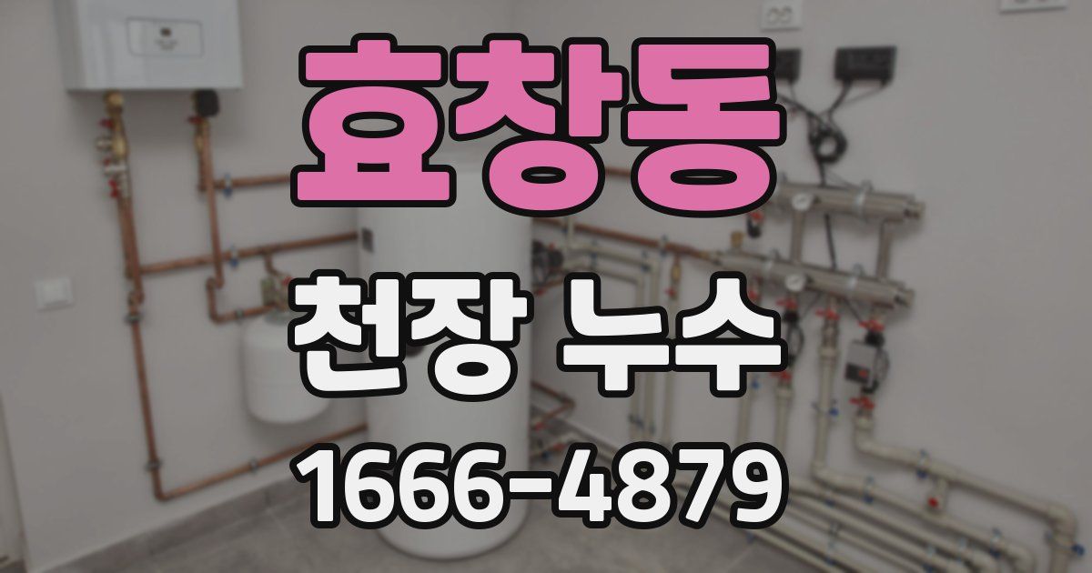 효창동 천장 누수