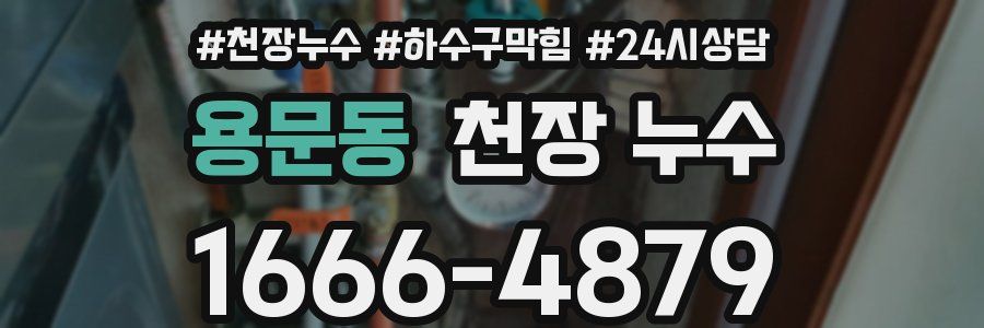 용문동 천장 누수