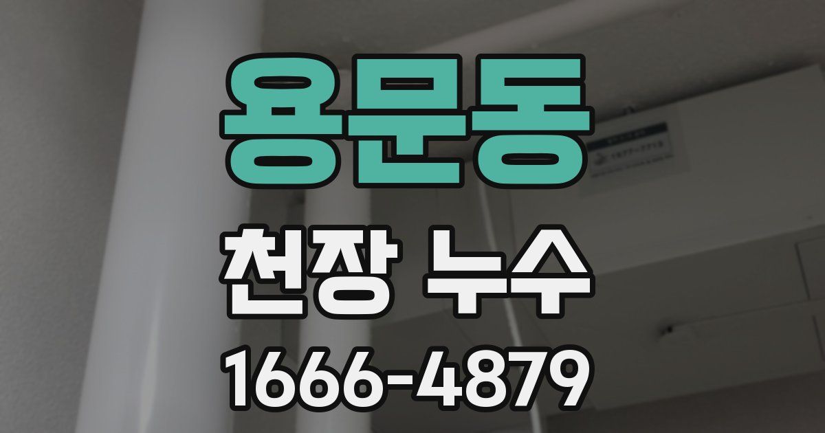 용문동 천장 누수