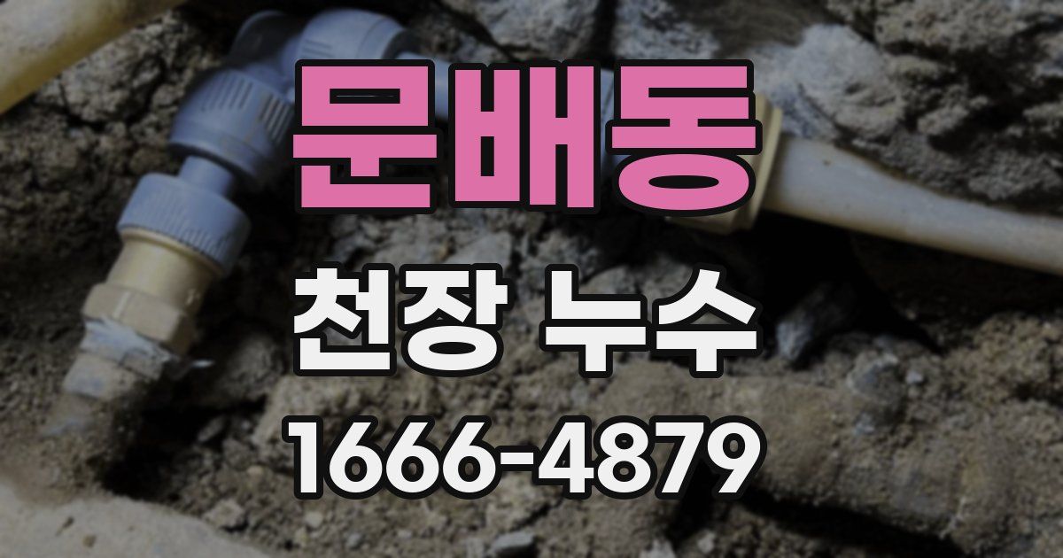 문배동 천장 누수