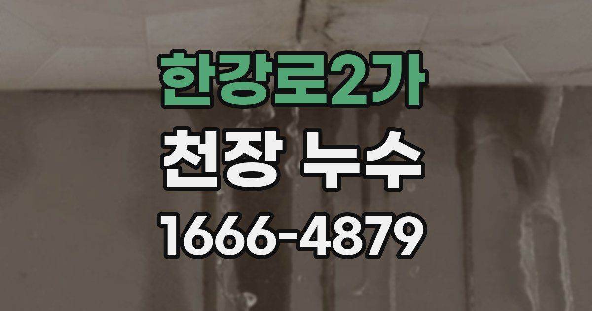한강로2가 천장 누수
