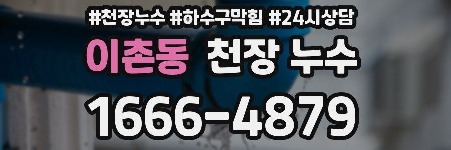 이촌동 천장 누수