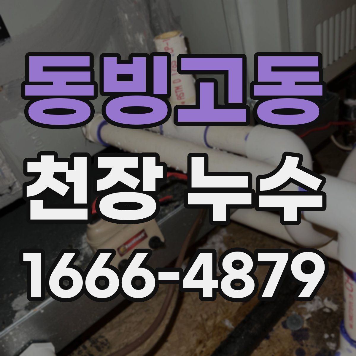 동빙고동 천장 누수 천장에 물자국과 함께 하얀 결정이 보인다면