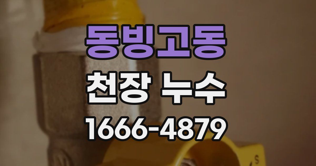 동빙고동 천장 누수