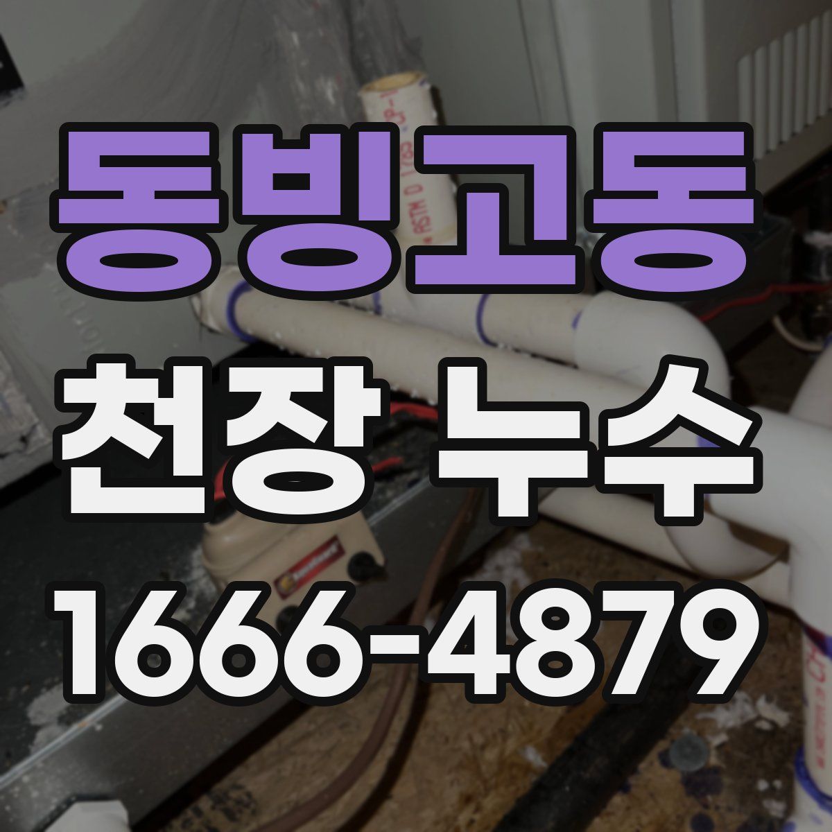 동빙고동 천장 누수