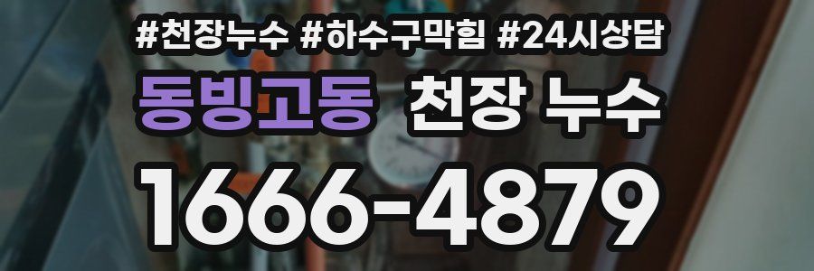 동빙고동 천장 누수