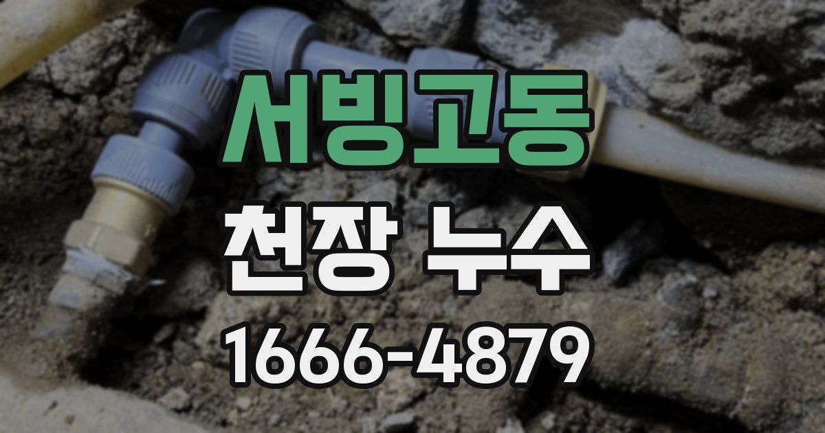 서빙고동 천장 누수