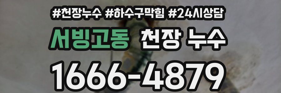 서빙고동 천장 누수