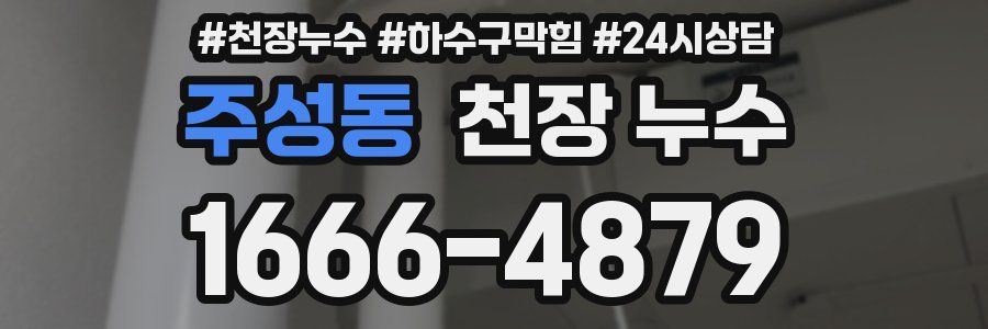 주성동 천장 누수