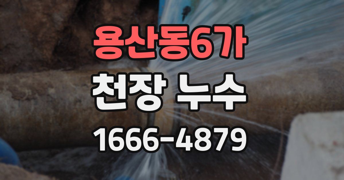 용산동6가 천장 누수