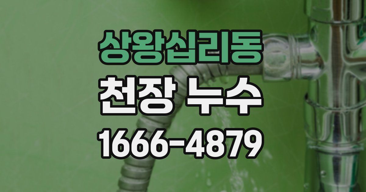 상왕십리동 천장 누수