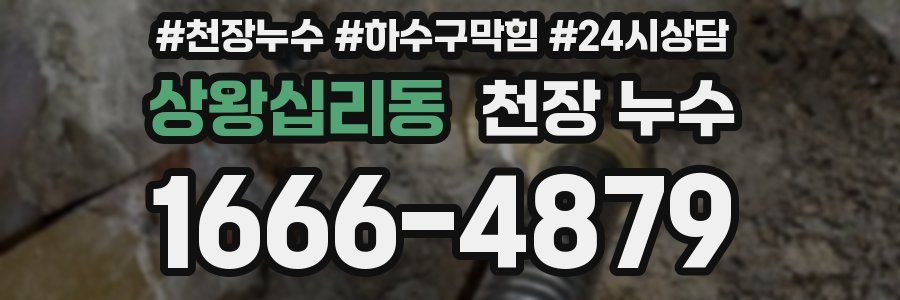 상왕십리동 천장 누수