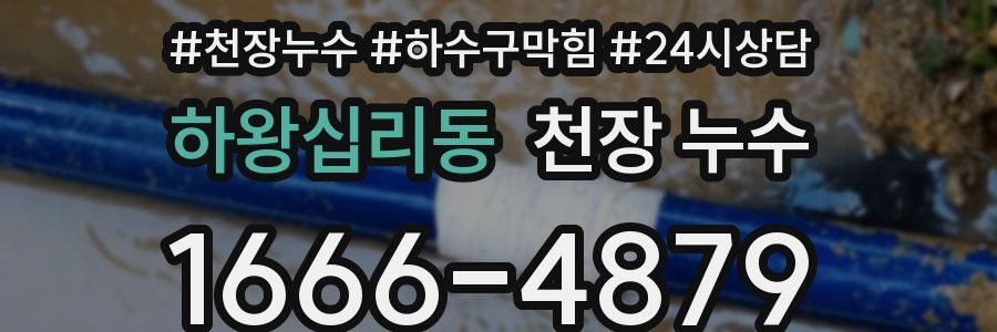 하왕십리동 천장 누수