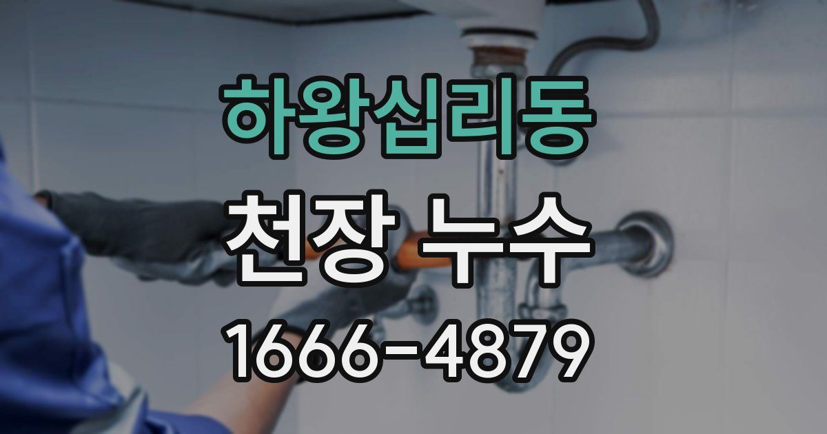 하왕십리동 천장 누수