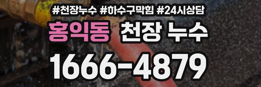 홍익동 천장 누수