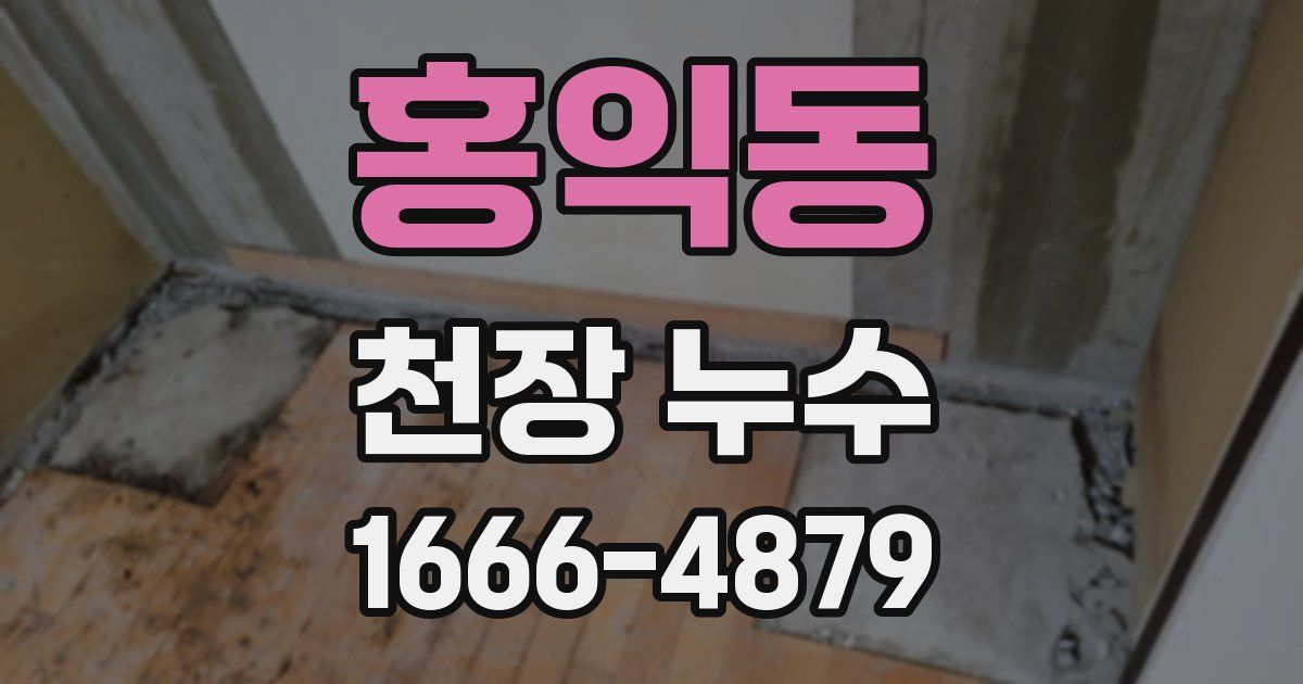 홍익동 천장 누수