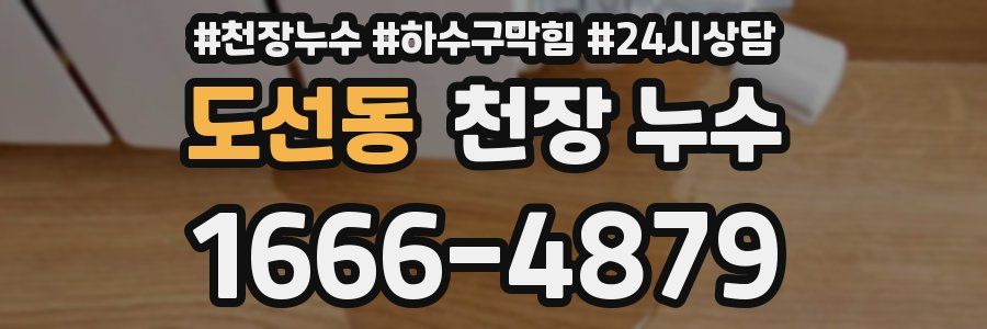 도선동 천장 누수