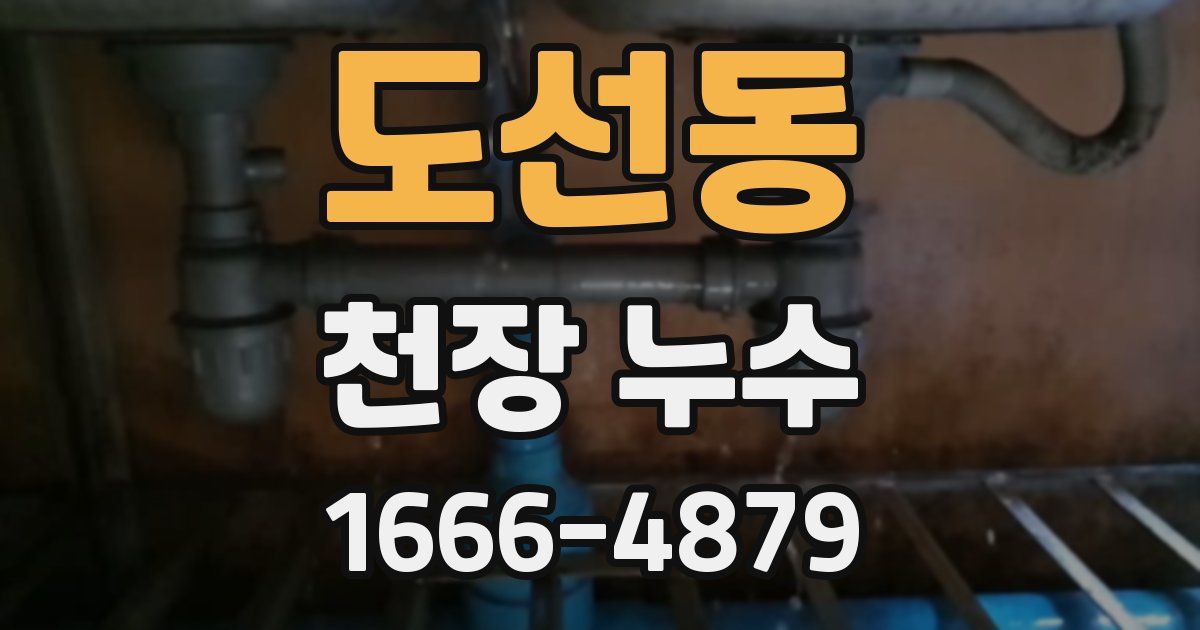 도선동 천장 누수