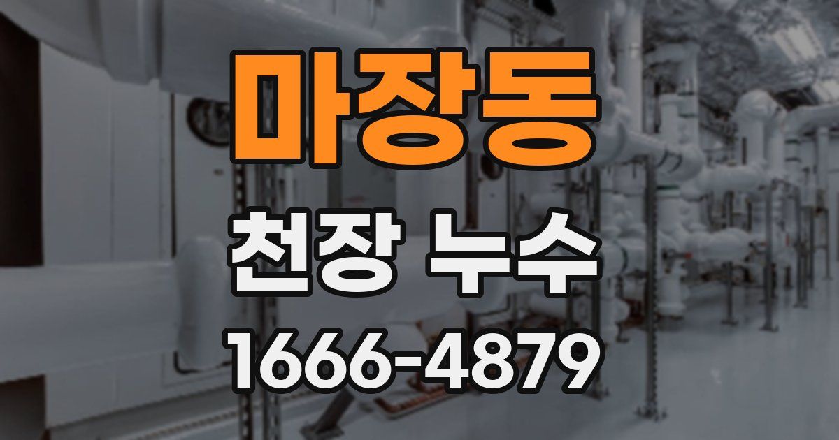 마장동 천장 누수