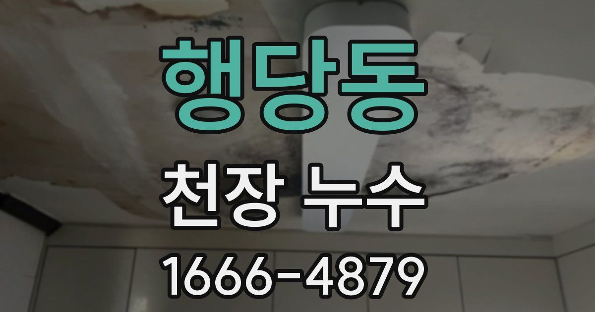행당동 천장 누수