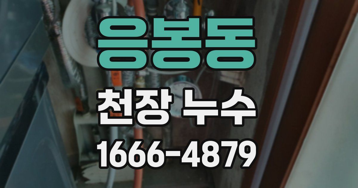 응봉동 천장 누수