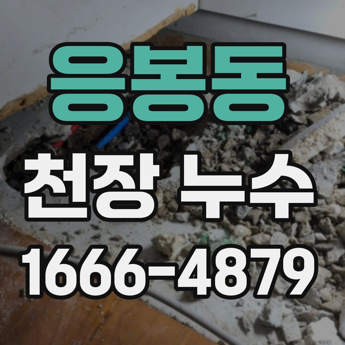 응봉동 천장 누수