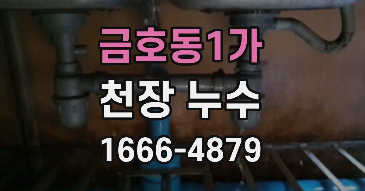 금호동1가 천장 누수