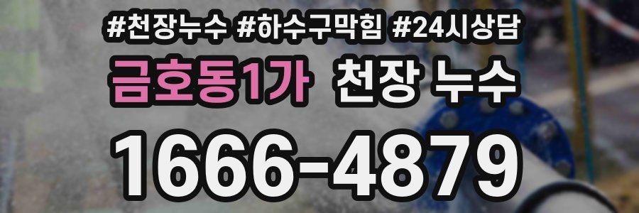 금호동1가 천장 누수